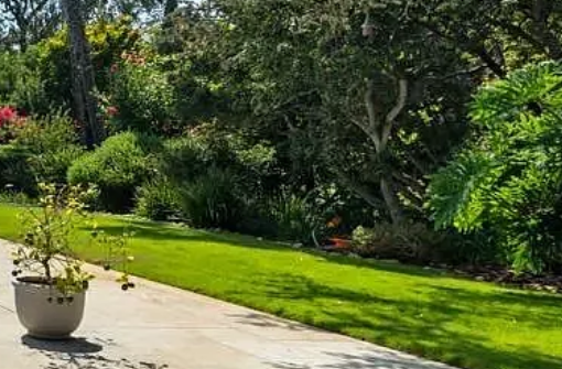 Secondary composition highlighting the landscaped garden